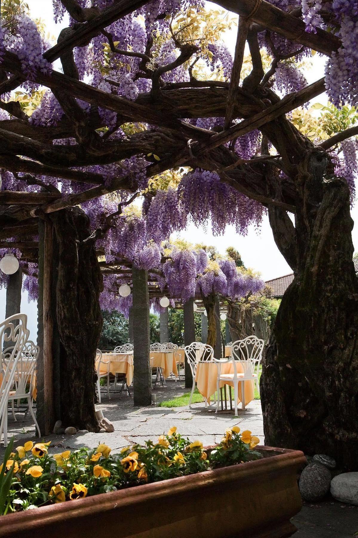 Hotel Ascona Luaran gambar